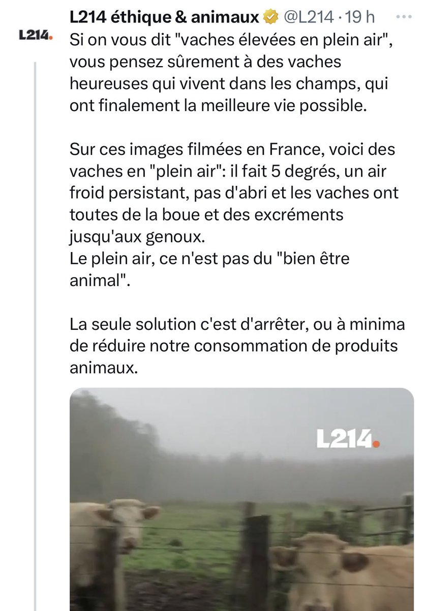 Si on vous dit « experts en animaux » vous pensez surement à L214?

Sur ce tweet pourtant, voici une accumulation de méconnaissances: la plage thermique des bovins c’est 0-15 degrés, la boue n’est présente qu’autour du ratelier, normal donc, et les vaches sont magnifiques.