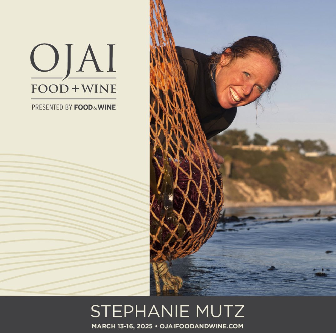 Sea Stephanie Fish tweet media