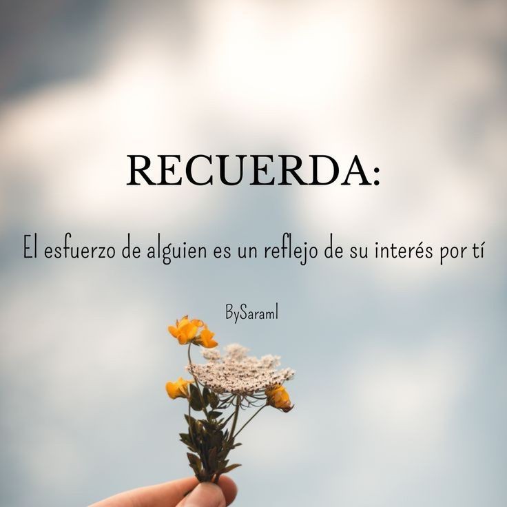 Juan José Gil Méndez (@juanjoingenio) on Twitter photo 