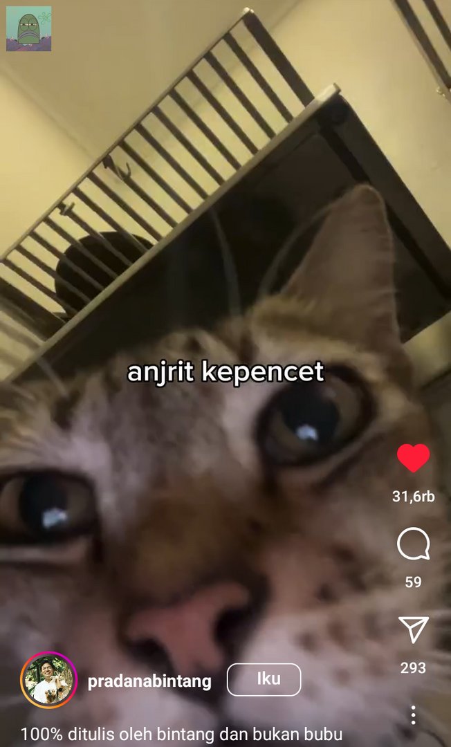 tanyakanrl's tweet image. 💚 tren ginian ngakak banget plis 😭