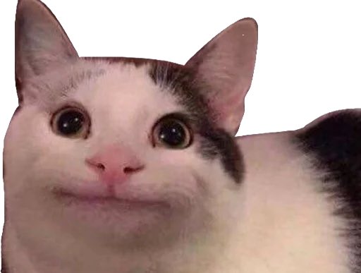 The problem sets never end