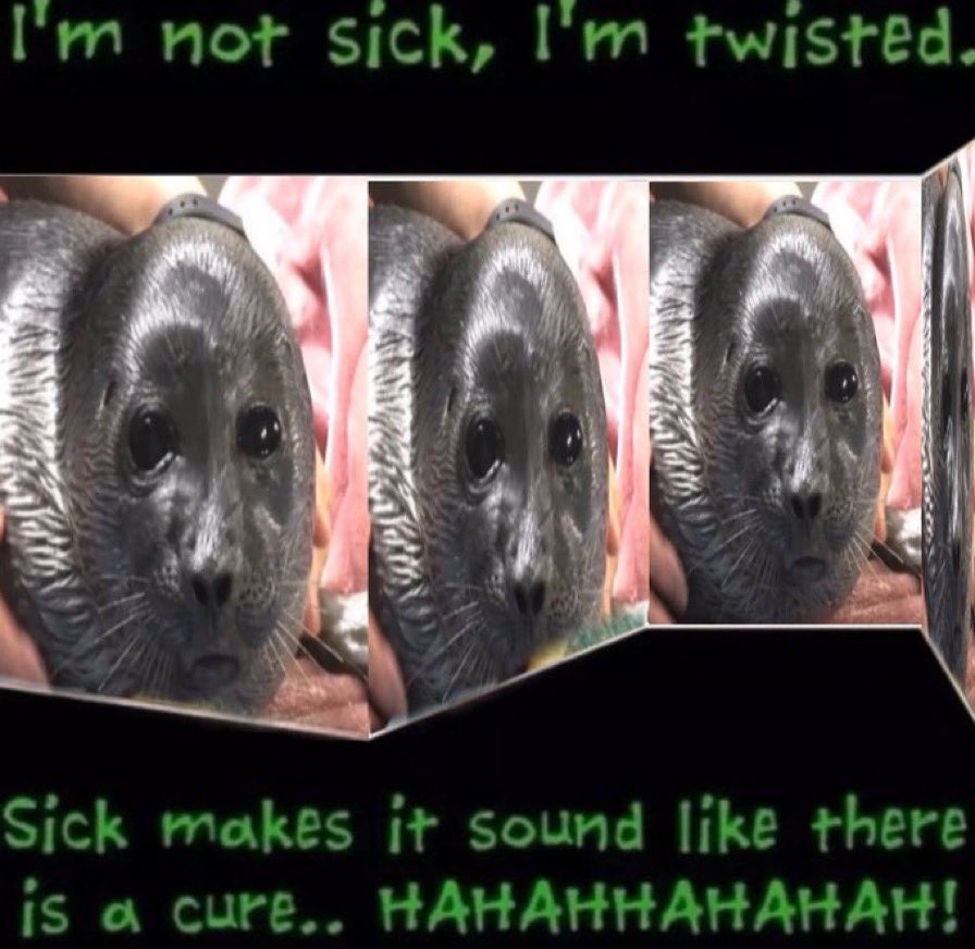 NikolasToba's tweet image. 