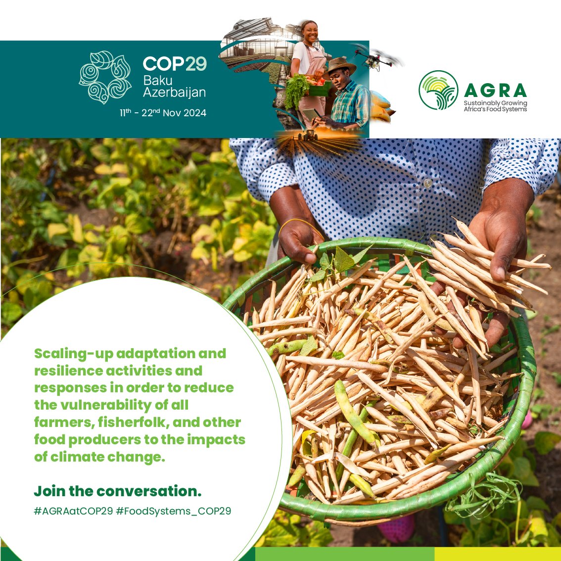 AGRA_Africa's tweet image. At #COP28 in UAE, 160 Countries came together to commit to #FoodSystems &amp;amp; #Agriculture Declaration with a two year's timelines.

How do we achieve UAE food declaration by 2025.

👉 Innovations
👉Scaling Investments
👉Behaviour Change on Food Waste &amp;amp; Loss
👉Policy Action &amp;amp; Systems