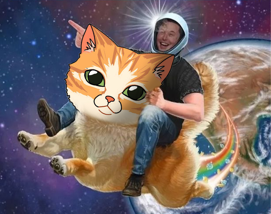 $DINGER | Schrödinger tweet media