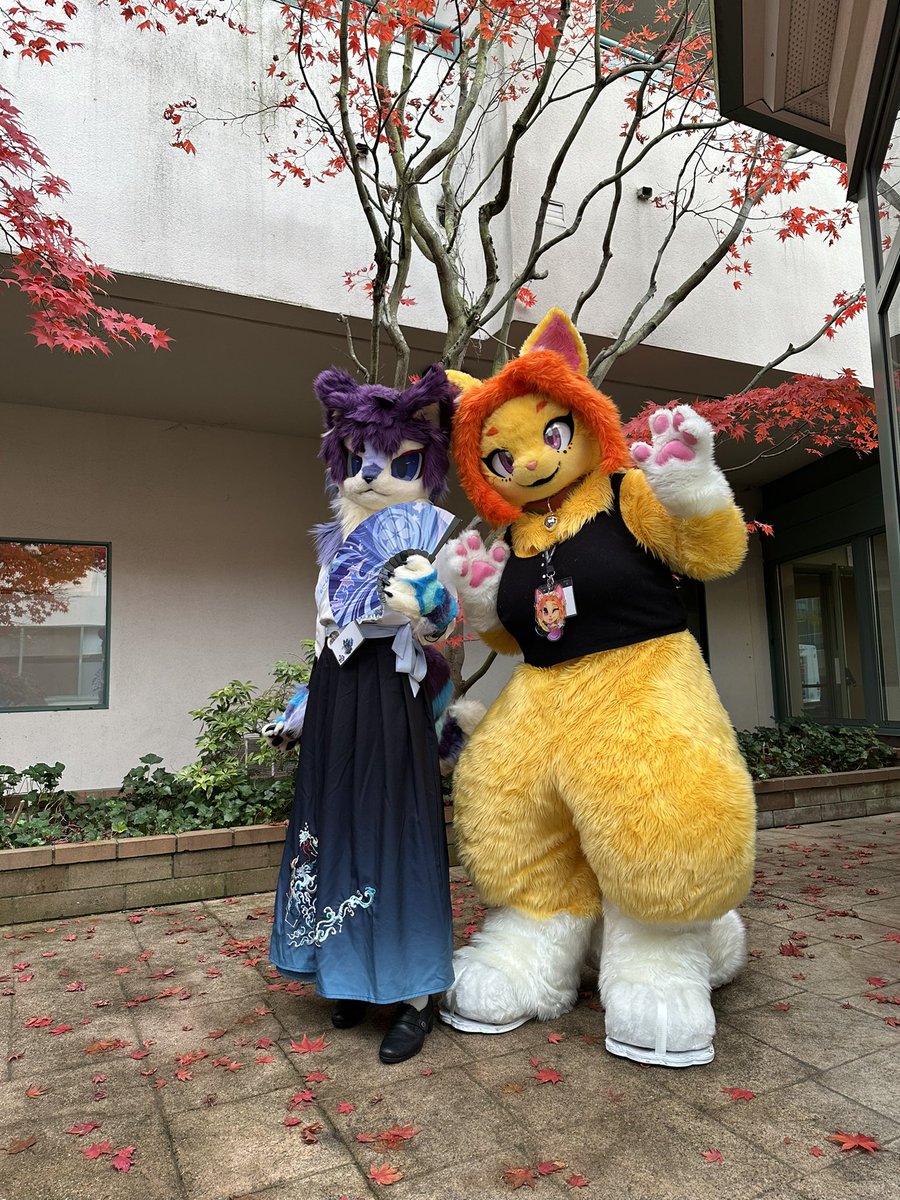 Gatzumara's tweet image. Some cute creatures 🥰

#howloween #howloween2024 #FancyFurPierrot #FursuitsEveryday