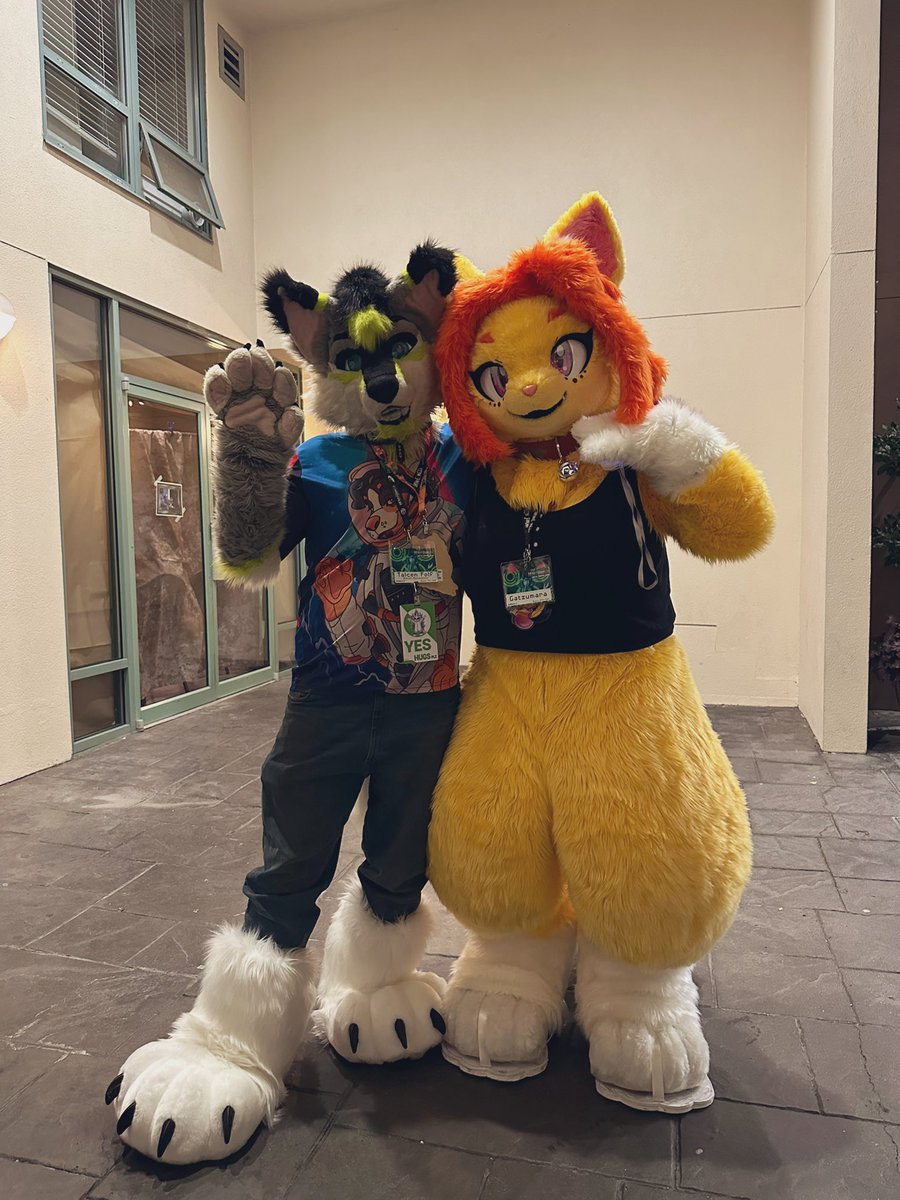 Gatzumara's tweet image. Some cute creatures 🥰

#howloween #howloween2024 #FancyFurPierrot #FursuitsEveryday