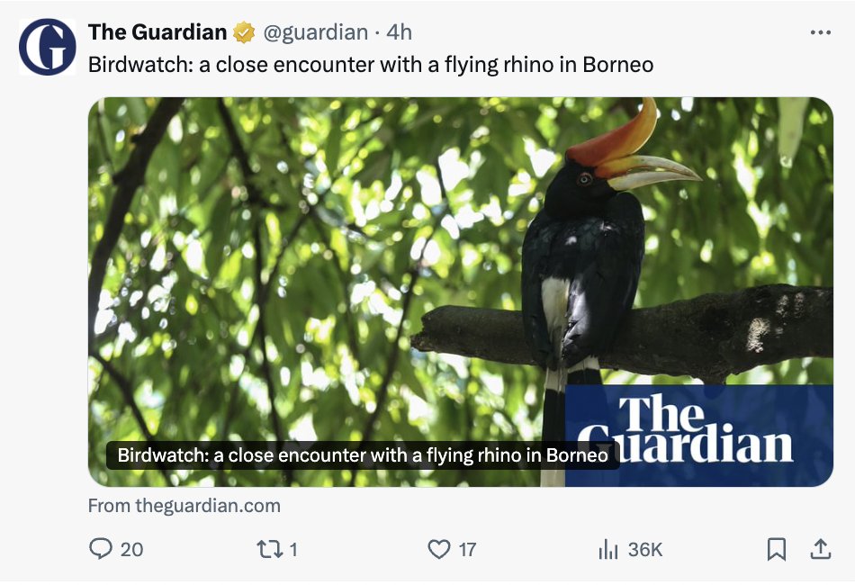 Tom Harwood tweet media