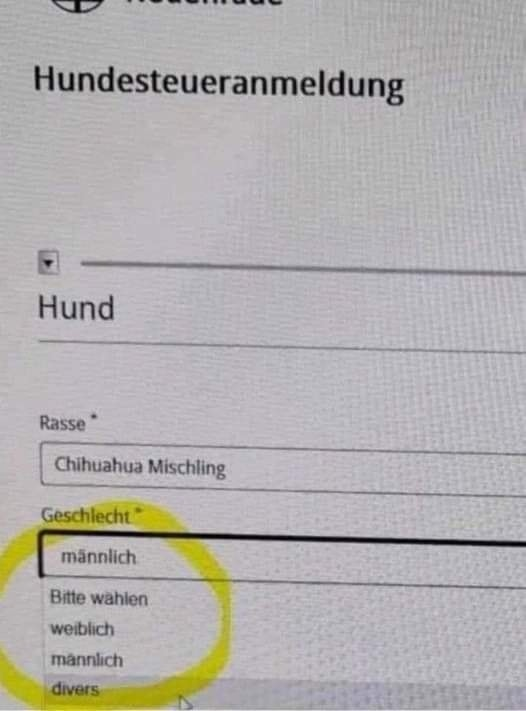 Oetscherbaer's tweet image. Na klar. #verblödung