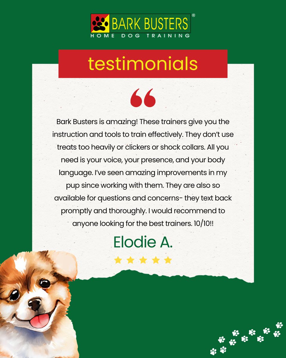 barkthevalley's tweet image. From zoomies to Zen! 🐕🌀 Bark Busters’ in-home training helps your dog learn with joy and ease. Let’s build a happy, well-behaved pup together! 🐾❤️ #BarkBusters #DogTrainingFun