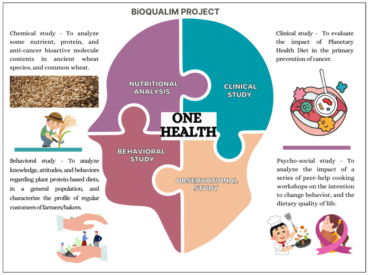 IMP5223 Ingénierie des Matériaux Polymères (@imp5223) on Twitter photo 📰New Paper: An Innovative One Health Approach: BIOQUALIM, a Transdisciplinary Research Action Protocol-From Cultivated Biodiversity to Human Health Prevention - <a href="/Nutrients_MDPI/">Nutrients MDPI</a>
- <a href="/CHUdeLyon/">HCL - Hospices Civils de Lyon</a>, @univamu, <a href="/UCAuvergne/">UCA</a>, <a href="/univ_lyon2/">Université Lumière Lyon 2</a>, <a href="/Inserm/">Inserm</a>, <a href="/labo_lamcos/">Labo de Mécanique des Contacts et Solides LaMCoS</a> - doi.org/10.3390/nu1620… 📰New Paper: An Innovative One Health Approach: BIOQUALIM, a Transdisciplinary Research Action Protocol-From Cultivated Biodiversity to Human Health Prevention - <a href="/Nutrients_MDPI/">Nutrients MDPI</a>
- <a href="/CHUdeLyon/">HCL - Hospices Civils de Lyon</a>, @univamu, <a href="/UCAuvergne/">UCA</a>, <a href="/univ_lyon2/">Université Lumière Lyon 2</a>, <a href="/Inserm/">Inserm</a>, <a href="/labo_lamcos/">Labo de Mécanique des Contacts et Solides LaMCoS</a> - doi.org/10.3390/nu1620…
