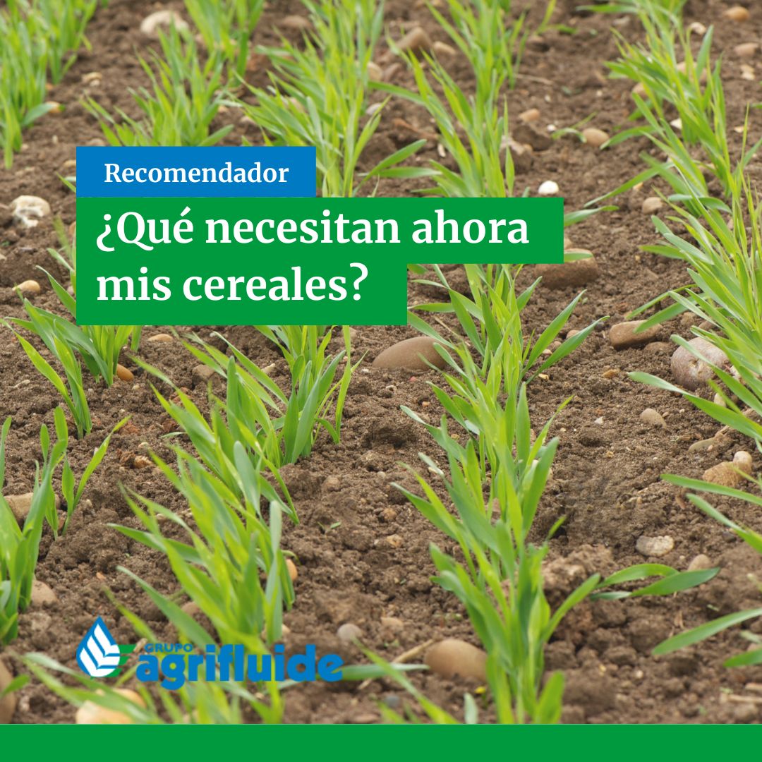 Agrifluide, SL tweet media