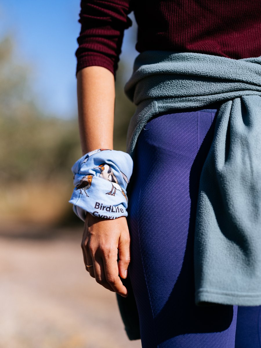 🦅We’re excited to share our new collaboration with BUFF®! Featuring beloved birds like the Swallow, Hoopoe, Redstart, Kingfisher &amp; more. Plus, UPF 50 sun protection, Ultrastretch, &amp; multifunctional!

Get yours: shop.birdlifecyprus.org/product/buff-n…