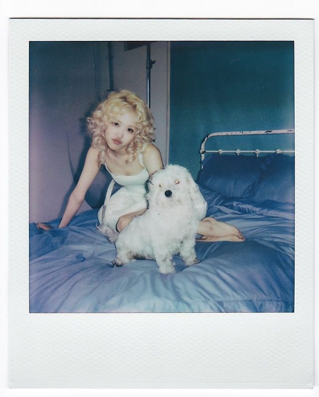 blinksunitedtwt's tweet photo. 📷131124| #ROSÉ updates her “vampirehollie” Instagram with stunning new Polaroids from her Paper Magazine cover shoot.
“paper polaroids 🤍”
ROSÉ IS ON TOP
#ROSExPaperMagazine
#ROSÉ_BRUNO_APT
#로제 @numberoneHQ https://t.co/cuLtmpDkHp