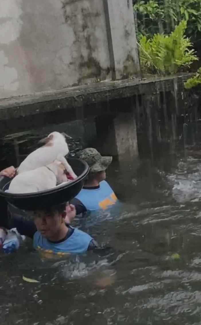 вradley (@gsunny982) on Twitter photo ¿Cuál es el secreto del éxito de вradley? ¿Cuál es el secreto del éxito de вradley?