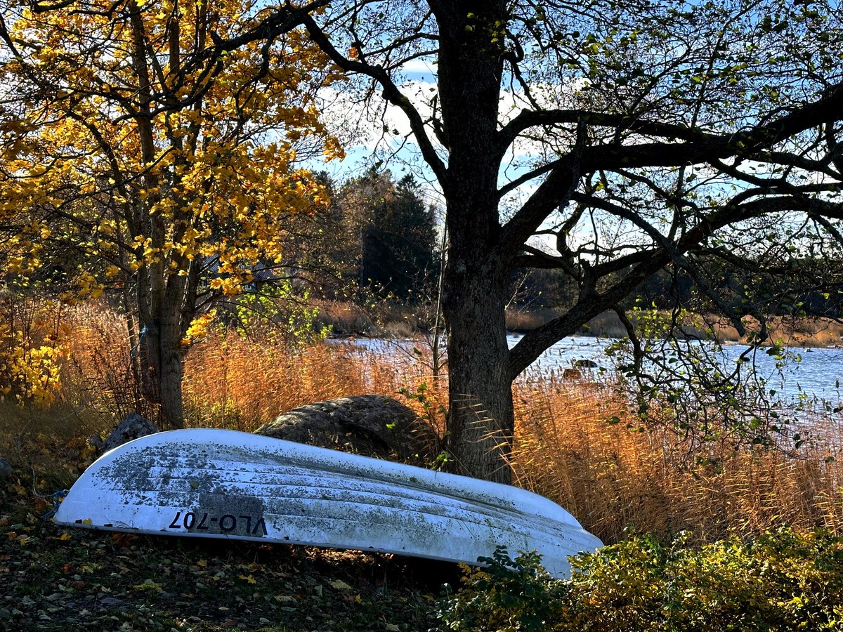 Kaik659300's tweet photo. Resting boat under the autumn sun 🍂🚤 #LakesideLife #AutumnFeels #PeacefulMoments https://t.co/znaWAMYB1j