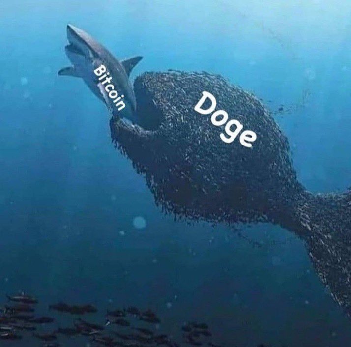 _dogegod_'s tweet image. #Dogecoin is coming for Bitcoin.

You bet.