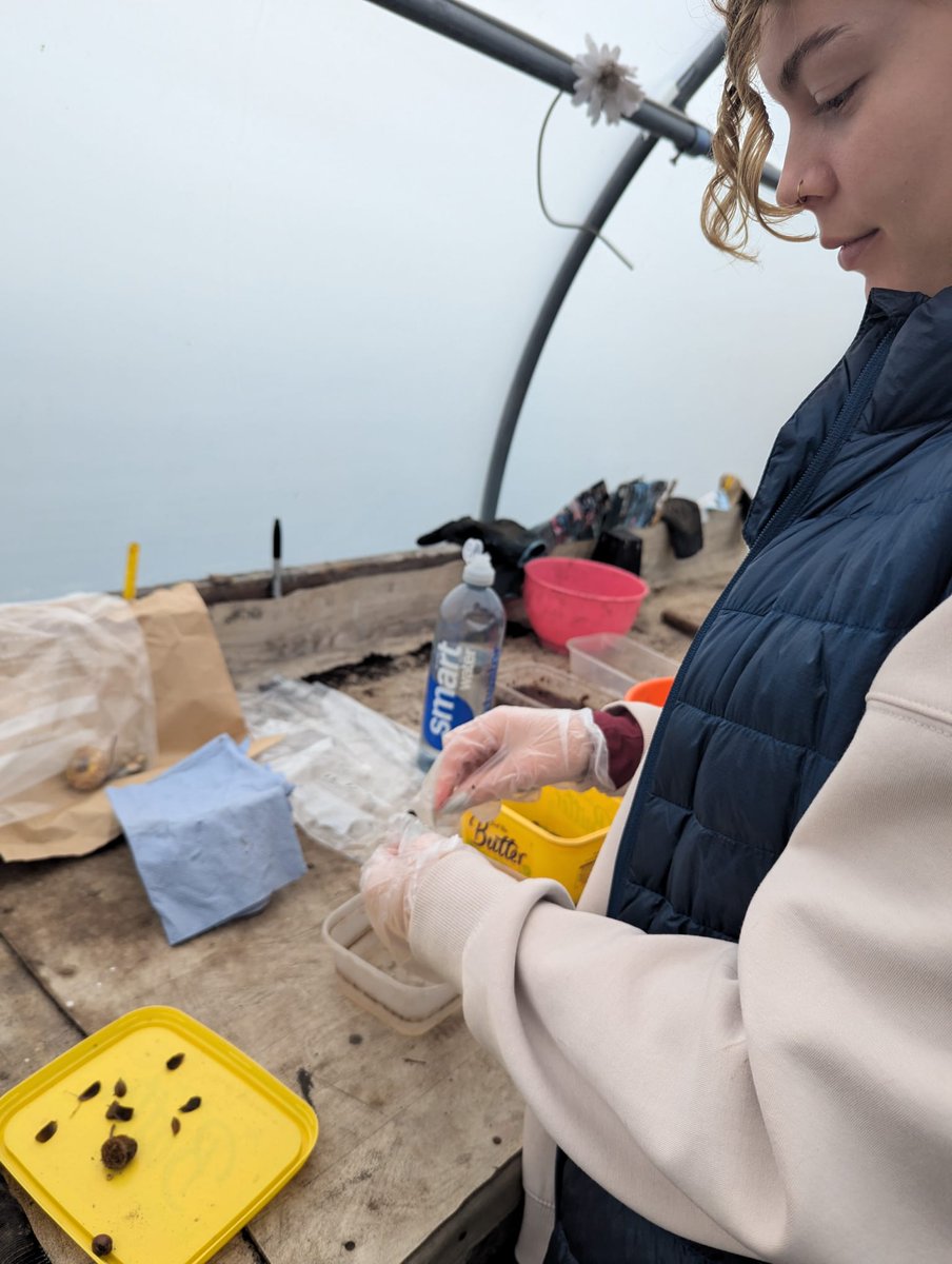 CornwallEmmaus's tweet photo. In recent weeks, we’ve welcomed Kitty, a student from @bournemouthuni  who is visiting us as part of her placement year while studying for a BSc in Ecology &amp; Wildlife Conservation. 
Welcome, Kitty—we’re thrilled to have you on board! 
#treenursery #emmaus https://t.co/HMeeDxWIYa