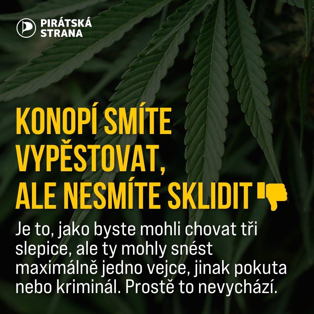Piráti tweet media