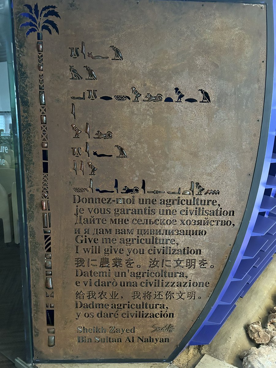 Dr Emmet Jackson tweet media