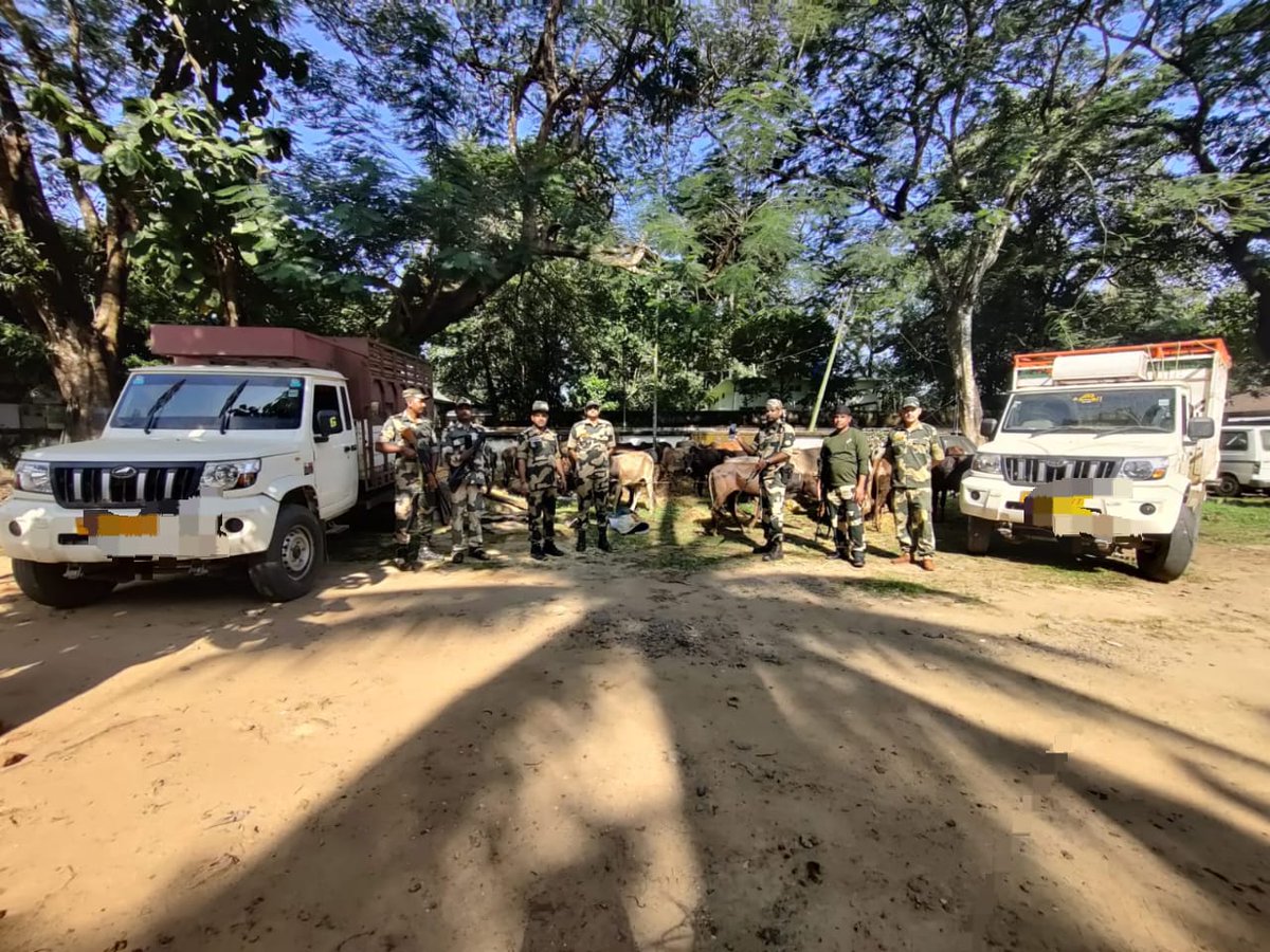 energetic_amit's tweet image. #BSFAlert: On Nov 13, 2024, Border Security Force troops foiled cross-border smuggling attempts along the international border, showcasing their vigilance and dedication. #BSFMeghalaya #IndoBangladeshBorder

#Meghalaya #TejRan #Mahavatar #earthquake #Coolie #AUSvIND #SwiggyIPO