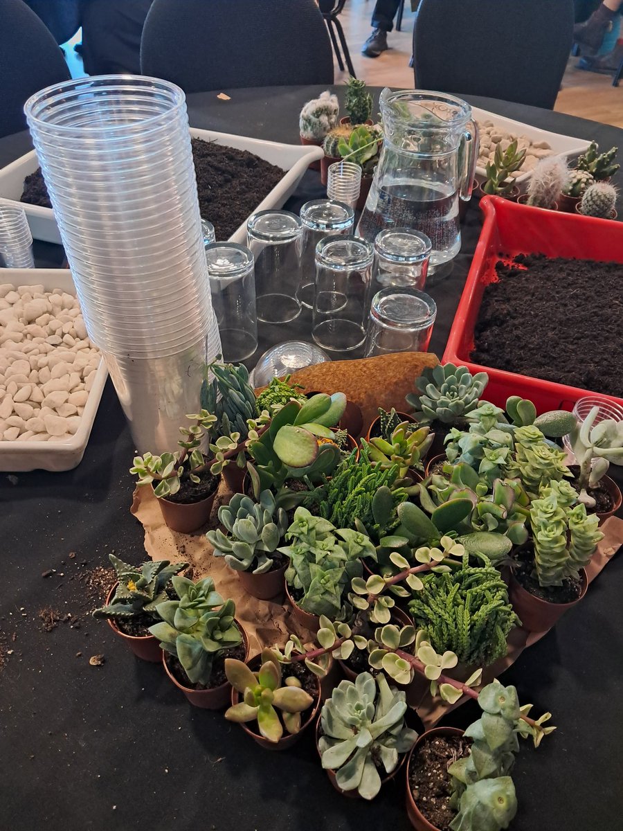 Kate Fellows (@katehfellows) on Twitter photo Set up and ready for Explore:Urban Nature session with <a href="/NHM_London/">Natural History Museum</a> national partnerships programme. We're making terrariums!!
#Museums2024 <a href="/MuseumsAssoc/">Museums Association</a> <a href="/LeedsMuseums/">Leeds Museums & Galleries</a> Set up and ready for Explore:Urban Nature session with <a href="/NHM_London/">Natural History Museum</a> national partnerships programme. We're making terrariums!!
#Museums2024 <a href="/MuseumsAssoc/">Museums Association</a> <a href="/LeedsMuseums/">Leeds Museums & Galleries</a>