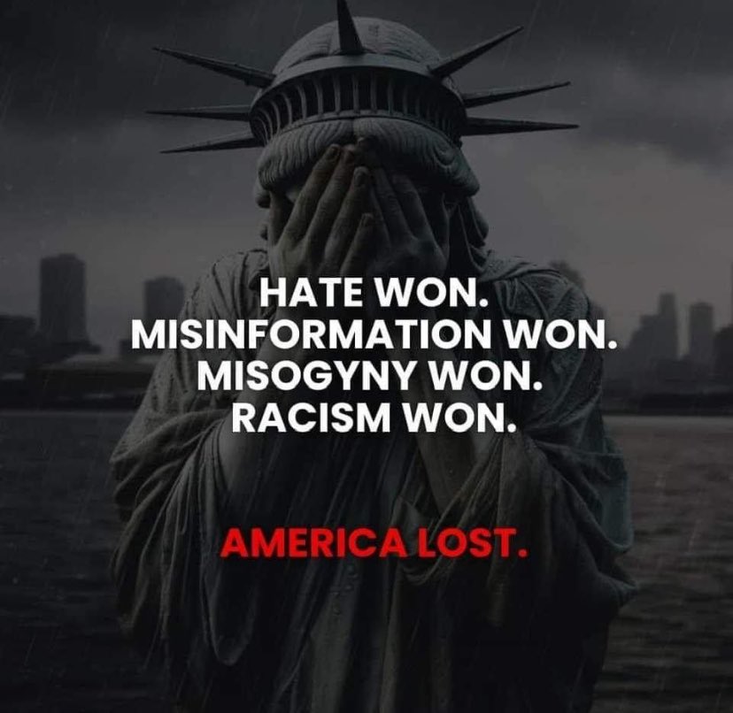 PGAntioch's tweet image. #DemVoice1 
#wtpBLUE 
This Canadian woman has a powerful response to the US election. It seems that hate won. There are no impediments now.
If we still have elections in the future, vote blue.