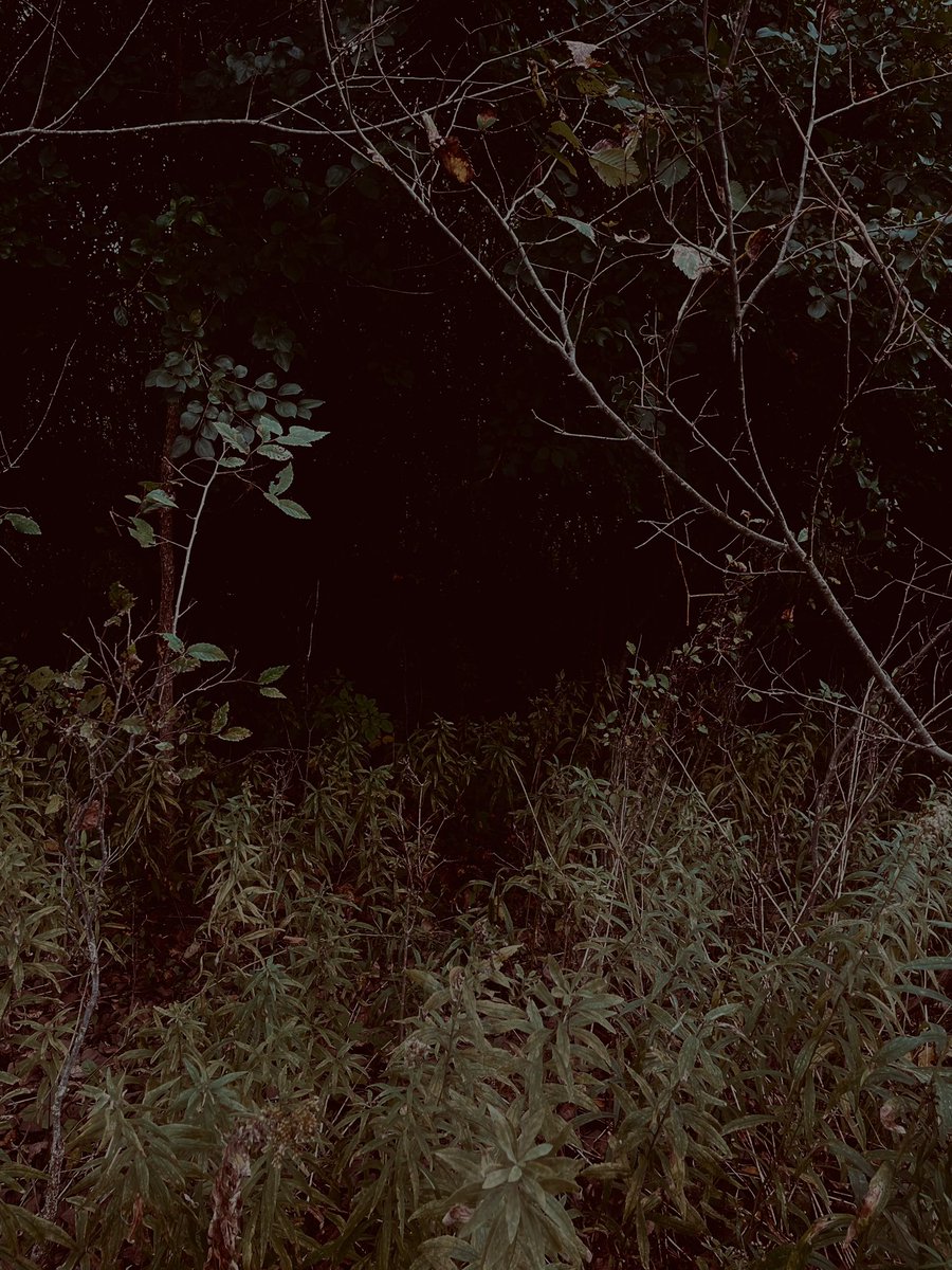 dcs_visual_art's tweet image. DHS Digital Photography Students faced their Fears for Visual Journal #3, check out their creative approaches to showing their greatest fears 👏🏻 📸 

#digitalphotography #photography #visualjournal #highschool #highschoolart #artteacher #digitalmedia #talented #fear #phobia