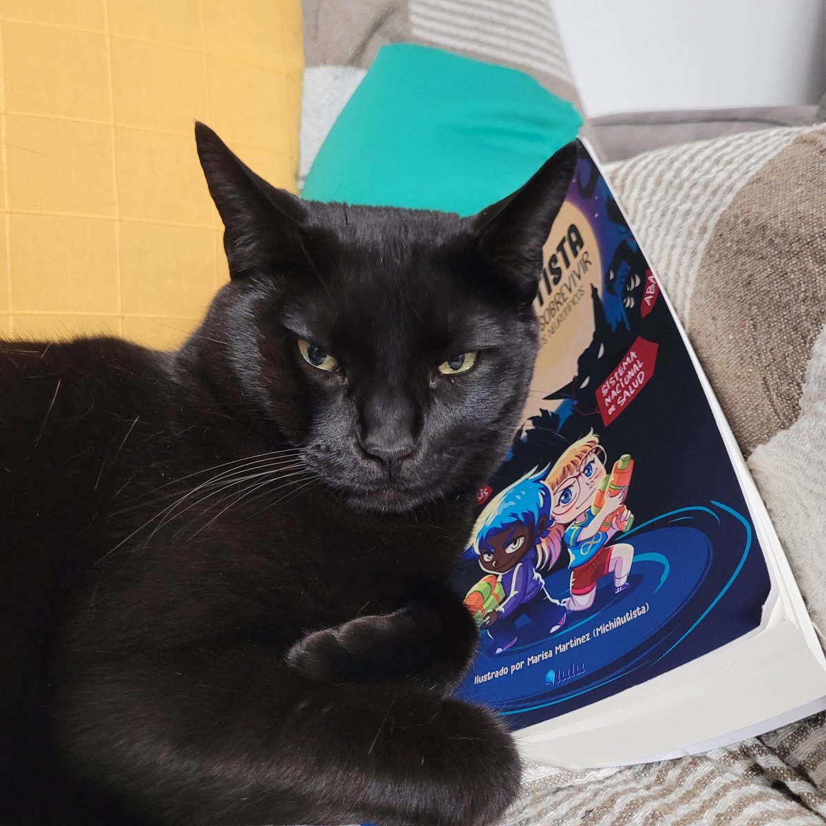 PsicoEsther1's tweet photo. @JCesarPL En favor de mi hijo e hija, e de decir que, quien más me ha boicoteado mis videoconferencias ha sido el gato. En concreto, este: https://t.co/gNPSIXp3Rt