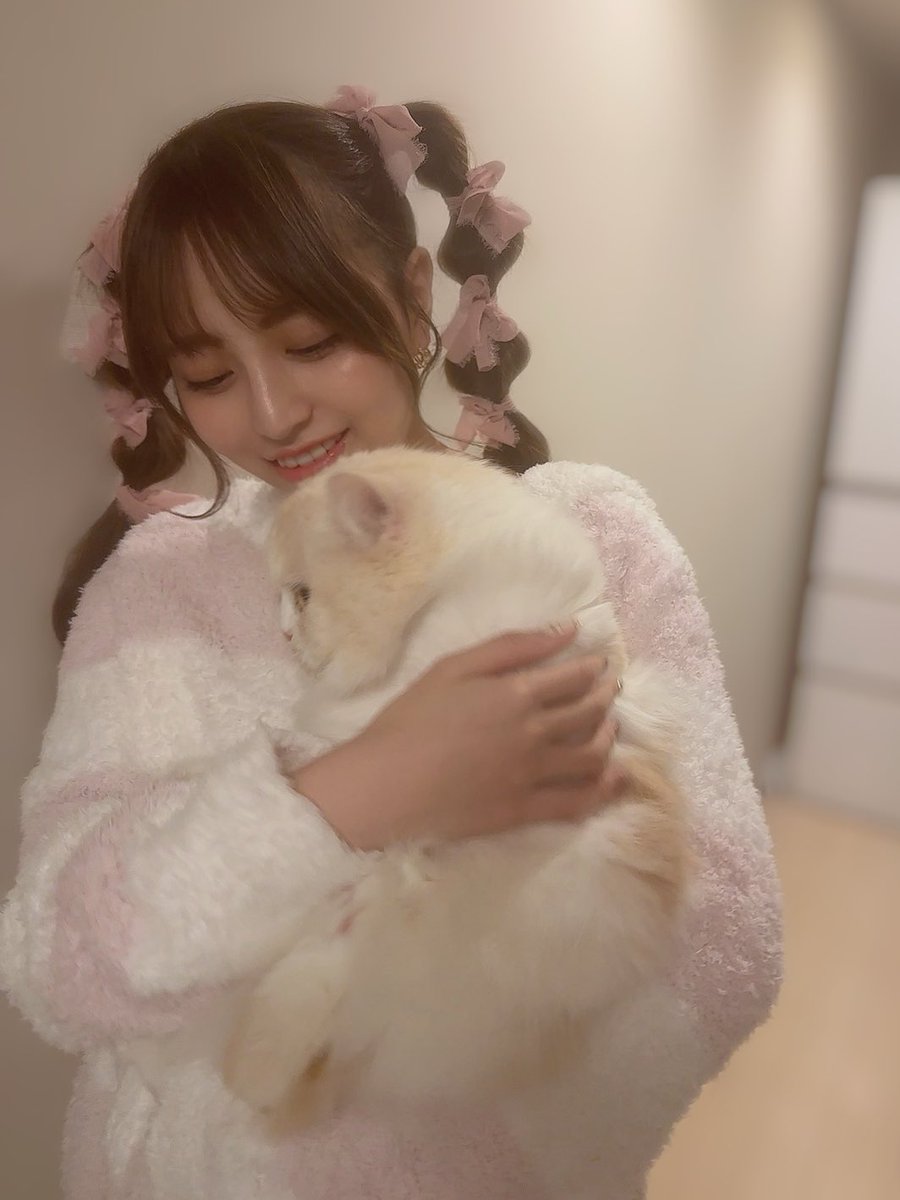 また太ったかもしれない
我が家のわがままぼでぃ姫🐈

かわいい... https://t.co/jTKqKGpMd7