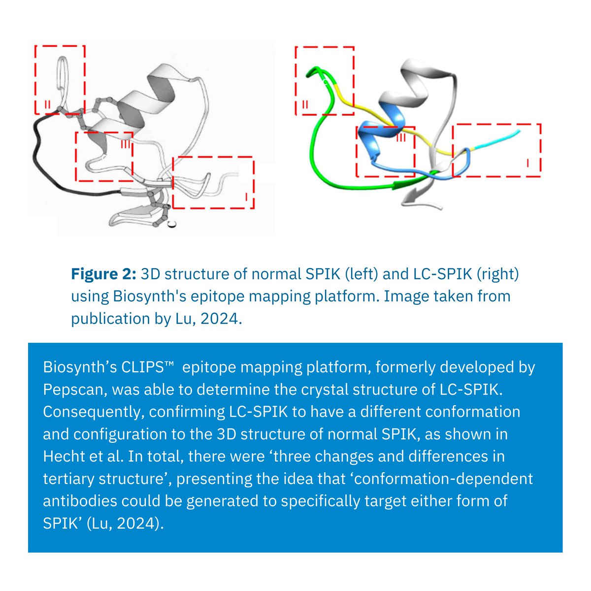 BiosynthGroup's tweet image. Part 2/4 Biosynth&apos;s #epitopemapping helped to uncovered the structure of a novel #HepatocellularCarcinoma (HCC) #biomarker, leading to the development of an #ELISA test kit that selectively and reliably detects HCC. Read the paper t.ly/l-FTB