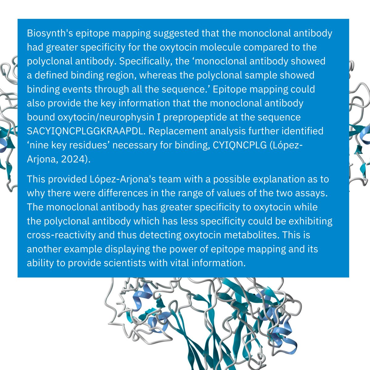 BiosynthGroup's tweet image. Part 4/4 Biosynth&apos;s #epitopemapping discovered that a #monoclonalantibody based assay detecting #oxytocin in human #saliva had greater specificity than one featuring a polyclonal antibody. Find out more in the López-Arjona&apos;s publication shorturl.at/ZEuwn

#anitbodyprofiling