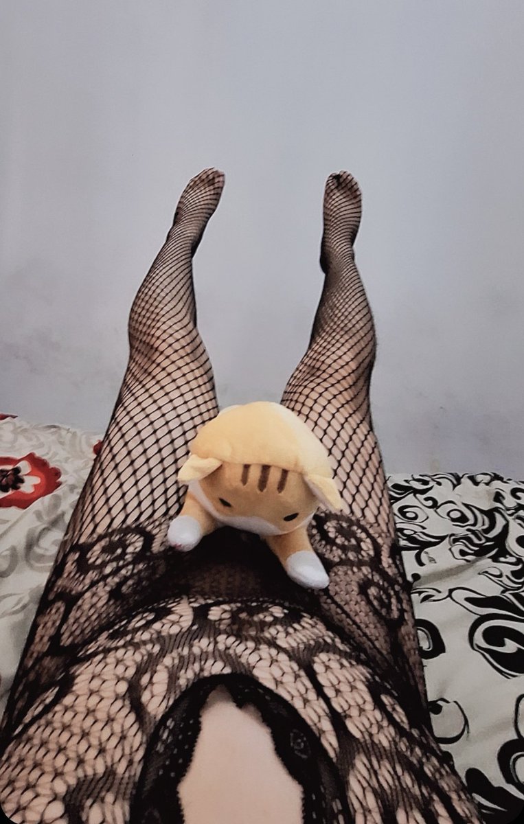 CderEditio5183's tweet photo. Hi cutie... https://t.co/Z2BcMVEKfq