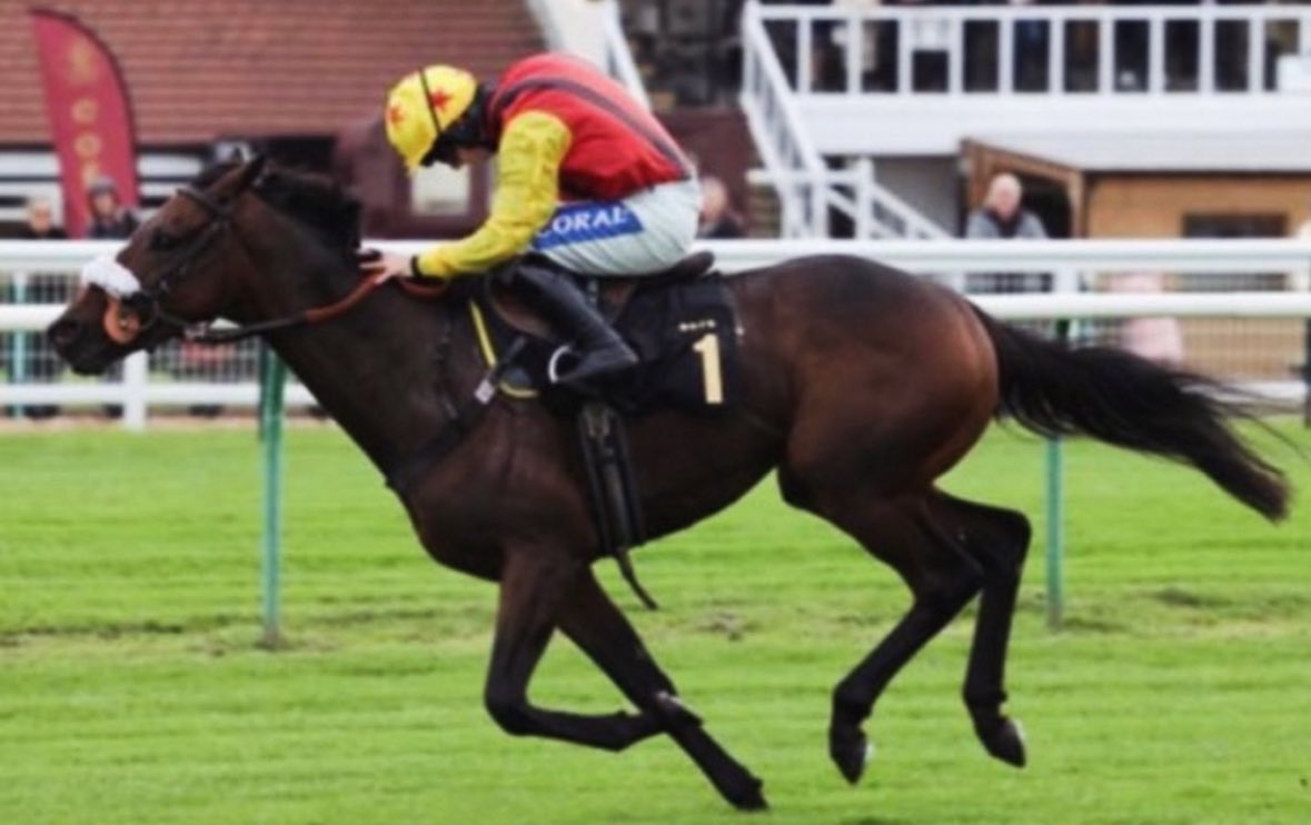 Simon Boucher tweet media