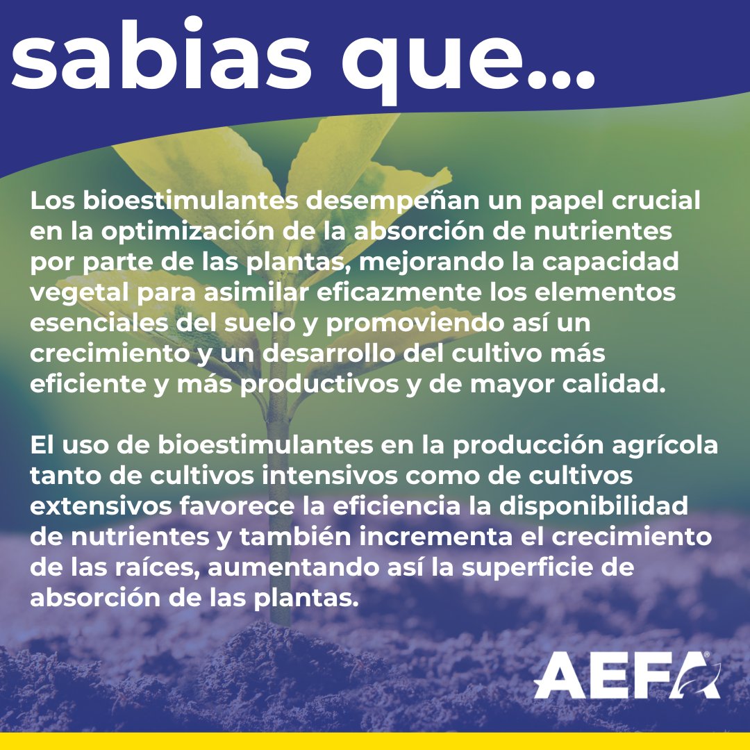 Los bioestimulantes y su papel crucial en la optimización de la absorción de nutrientes #AEFA #sabiasque #bioestimulantes #nutrientes