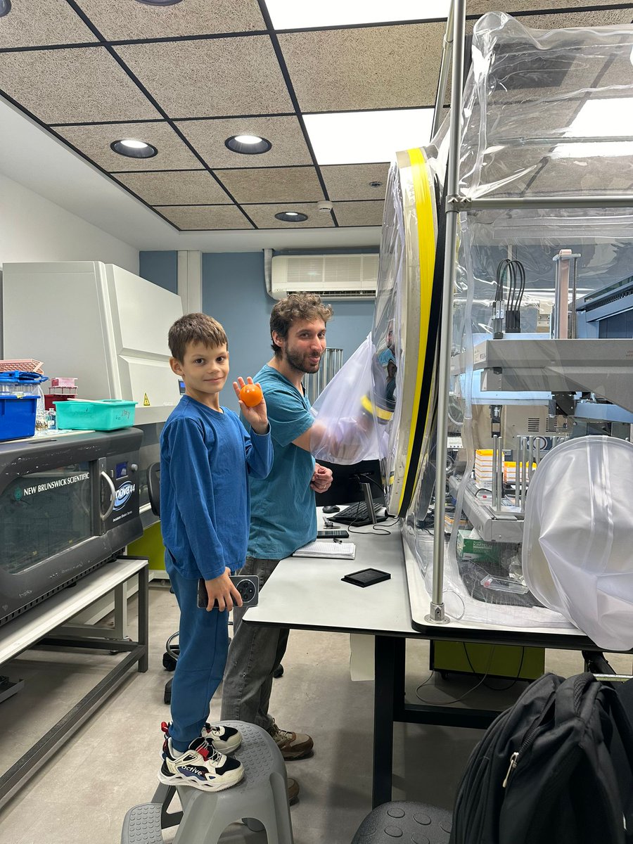 Mizrahi Lab tweet media