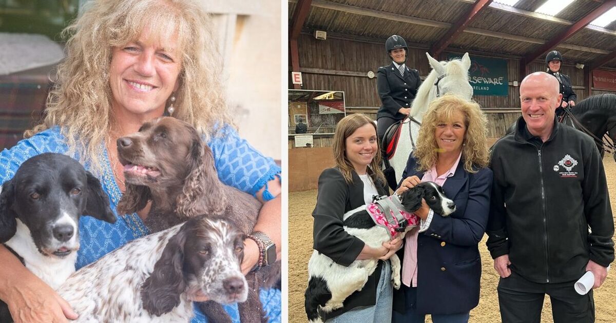 VicPictoria's tweet image. 💜 👀 Seen this? 📸

Thank you @CotswoldLadyB - for sharing your story and wonderful creature comforting with us all 🐾

express.co.uk/news/uk/197507…

Top show @Daily_Express
Look at what they do for yourself and get stuck in - @The_NFRSA 🥰 💜

#nfrsa #helptheanimals #serviceanimals