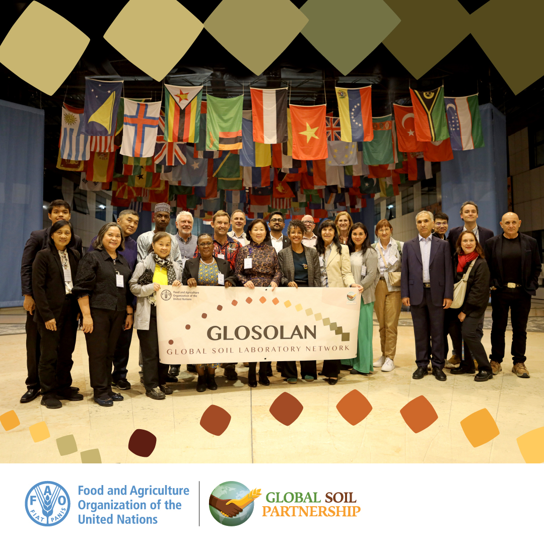 FAOLandWater's tweet photo. On day 2 of the #GLOSOLAN hybrid meeting! +200 experts explored inter-lab comparison & Standard Operating Procedures #SOPs
Together, they are setting the groundwork for consistent, high-quality and reliable #SoilData 🌍
#SoilHealth #GlobalSoilPartnership https://t.co/7Keem1Mpo3
