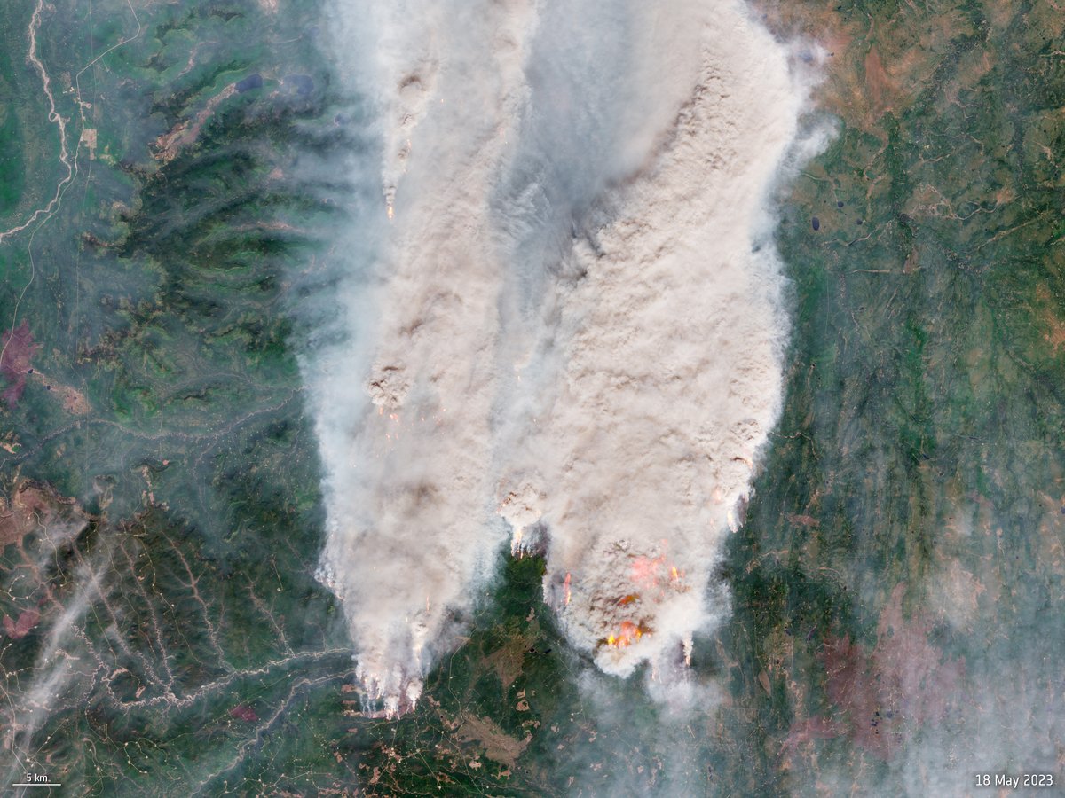 ESA Earth Observation (@esa_eo) on Twitter photo A new <a href="/esa/">European Space Agency</a>-backed study shows that the extreme heatwaves of 2023, which fuelled huge wildfires and severe droughts, also undermined the land’s capacity to soak up atmospheric carbon.
This diminished carbon uptake drove atmospheric carbon dioxide levels to new highs, A new <a href="/esa/">European Space Agency</a>-backed study shows that the extreme heatwaves of 2023, which fuelled huge wildfires and severe droughts, also undermined the land’s capacity to soak up atmospheric carbon.
This diminished carbon uptake drove atmospheric carbon dioxide levels to new highs,