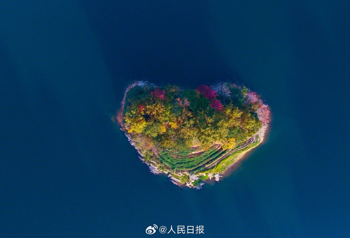PDChinese's tweet photo. 【浙江杭州：千島湖現多彩愛心島】12日，浙江杭州淳安縣紅葉灣層林盡染，空中俯瞰，色彩斑斕的島嶼鑲嵌在千島湖秀美的湖面上，構成一幅絢爛的初冬生態畫卷。 https://t.co/UjjsjXfMTS