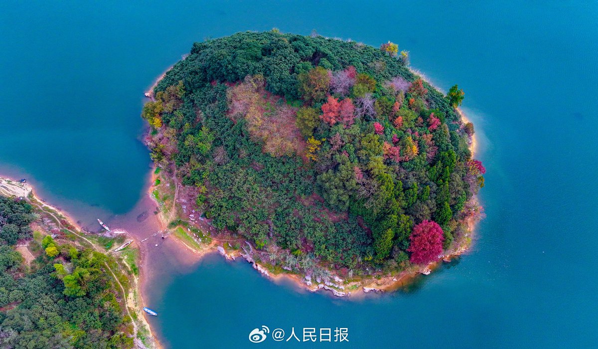 PDChinese's tweet photo. 【浙江杭州：千島湖現多彩愛心島】12日，浙江杭州淳安縣紅葉灣層林盡染，空中俯瞰，色彩斑斕的島嶼鑲嵌在千島湖秀美的湖面上，構成一幅絢爛的初冬生態畫卷。 https://t.co/UjjsjXfMTS