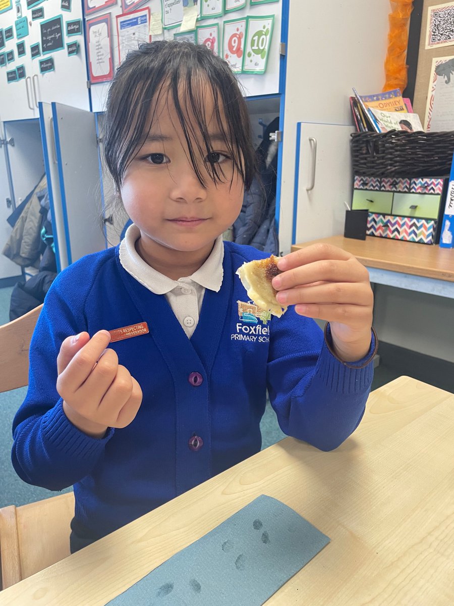 Foxfield - Year 3 tweet media