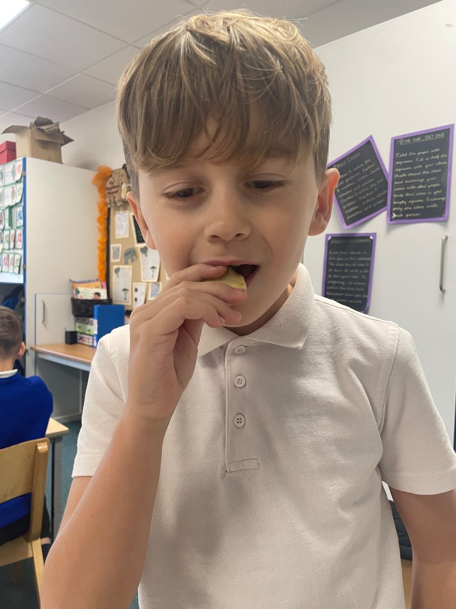 Foxfield - Year 3 tweet media