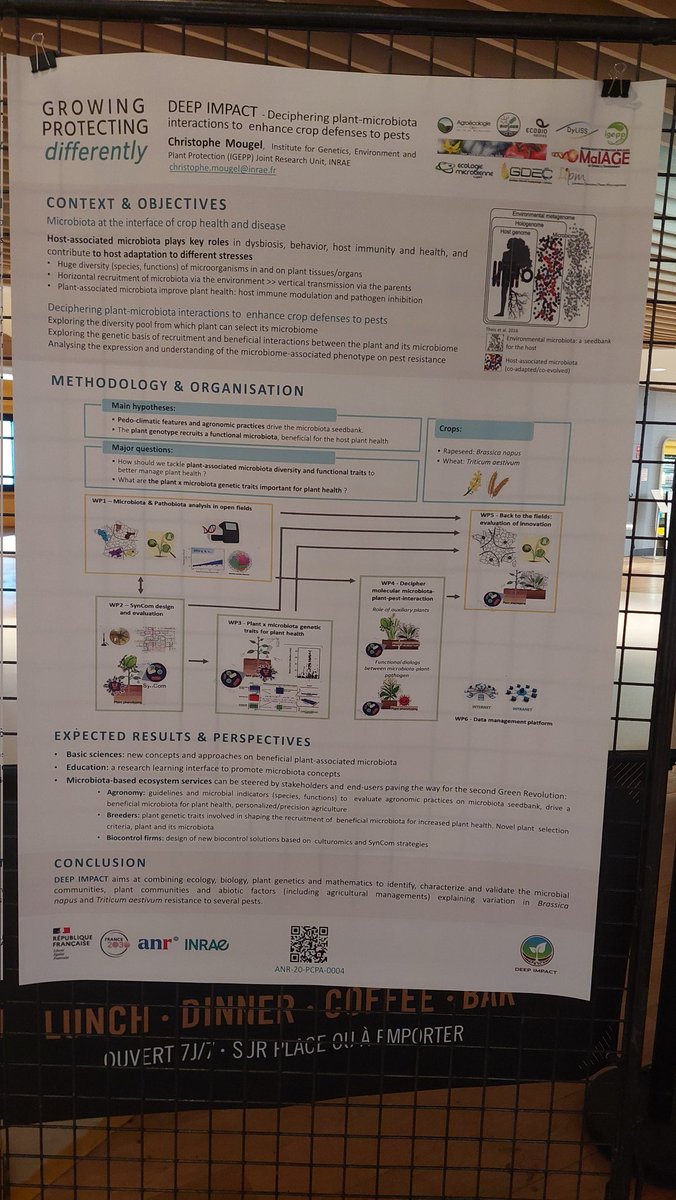 Stéphane CORDEAU tweet media