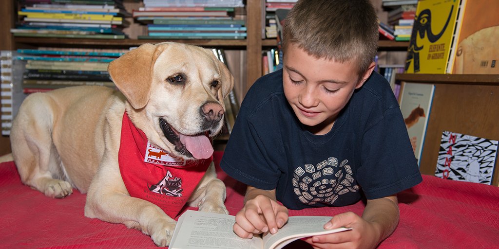 PERROS Y LETRAS tweet media
