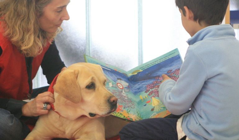 PERROS Y LETRAS tweet media