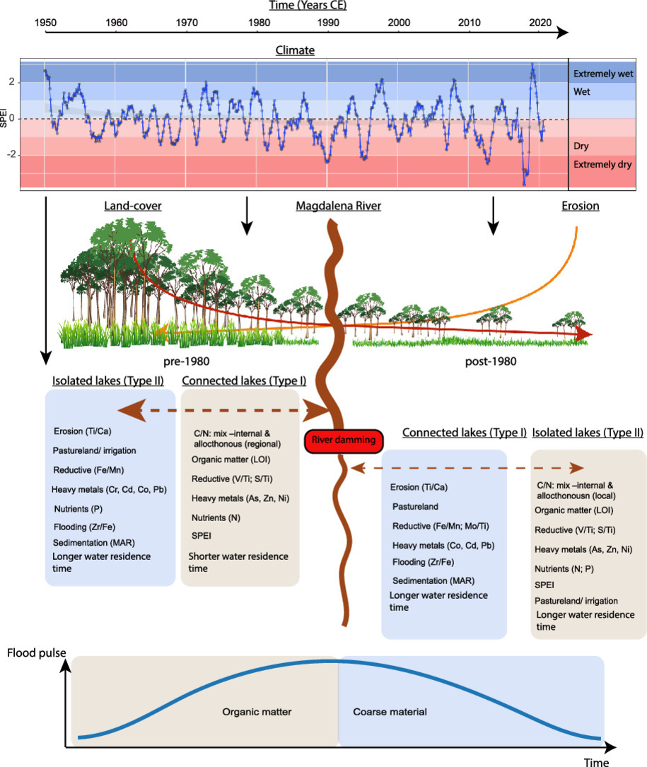 New publication: Riverine connectivity modulates elemental fluxes through a 200-year period of intensive anthropic change in the Magdalena River floodplains, Colombia, by <a href="/Suz_McG/">Suzanne McGowan</a> ao.  #biogeochemistry #climatechange #eutrophication #palaeolimnology
doi.org/10.1016/j.watr…