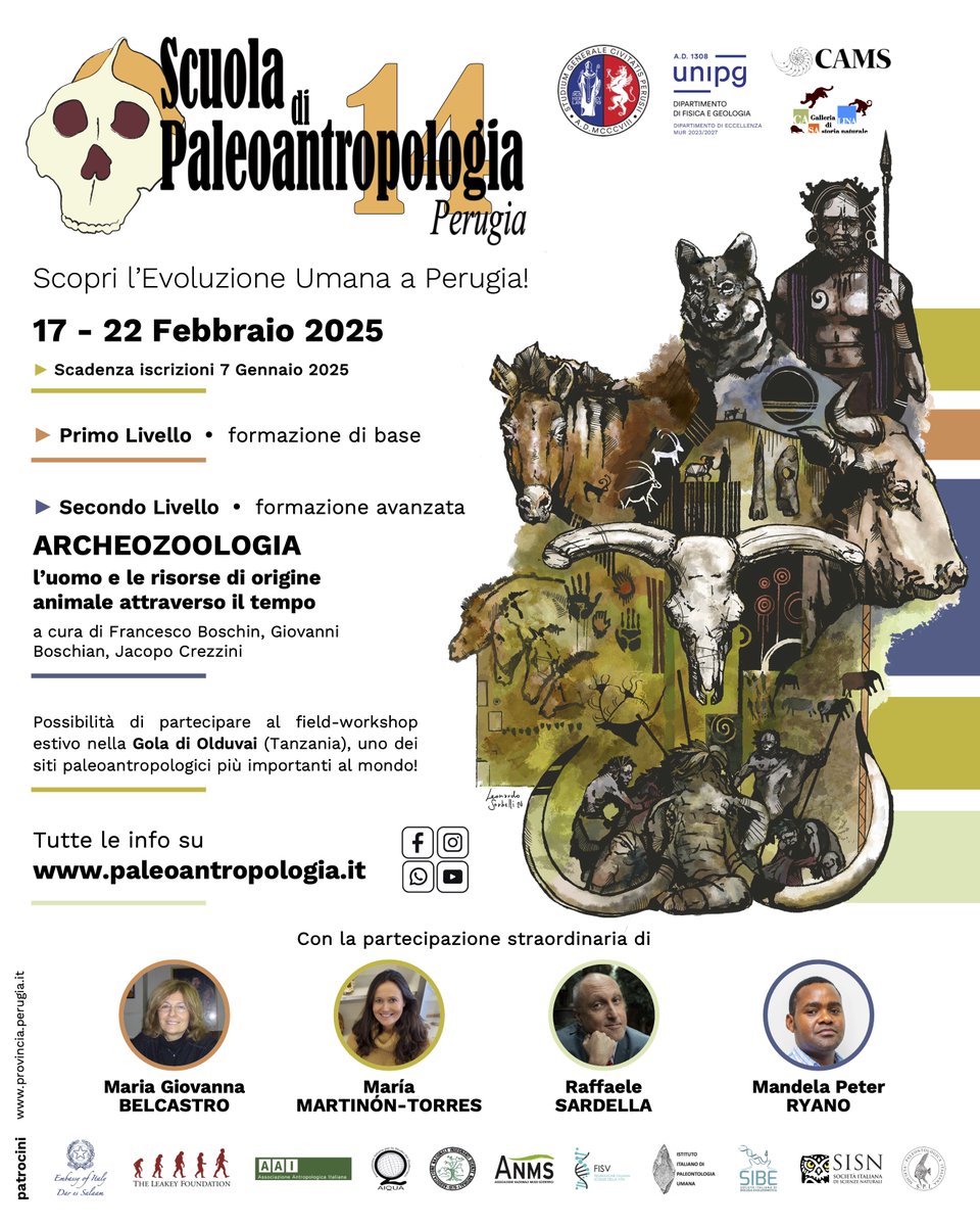 Siamo alla 14° edizione della Scuola di Paleoantropologia di Perugia: 17-22 febbraio 2025

Una settimana di full immersion fra le lezioni del 1° e del 2° livello

Ospiti di questa edizione: M.G. Belcastro, M. Martinon-Torres, R. Sardella, M.P. Ryano

🙃