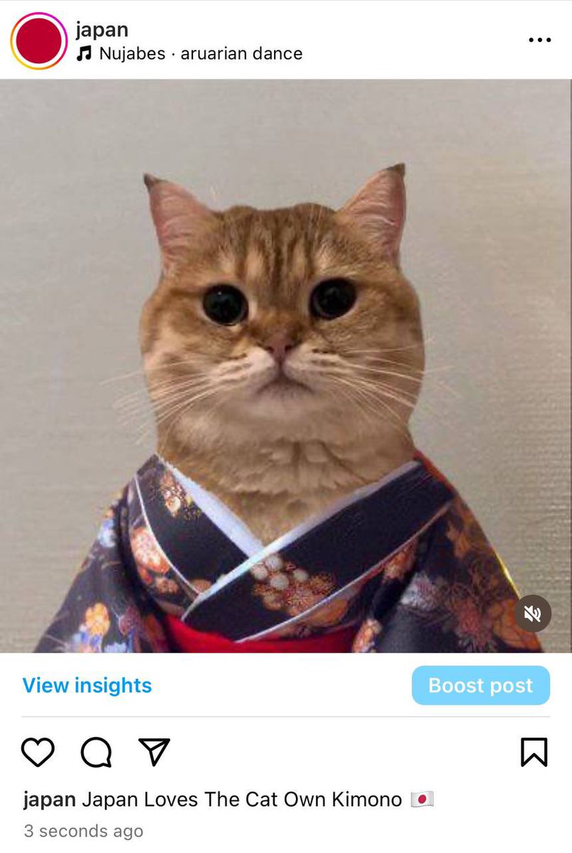 Japan loves the Cat Own Kimono 🇯🇵

日本では「ネコ自分着物」が大人気です 🇯🇵

instagram.com/p/DCSim98yRV1/
