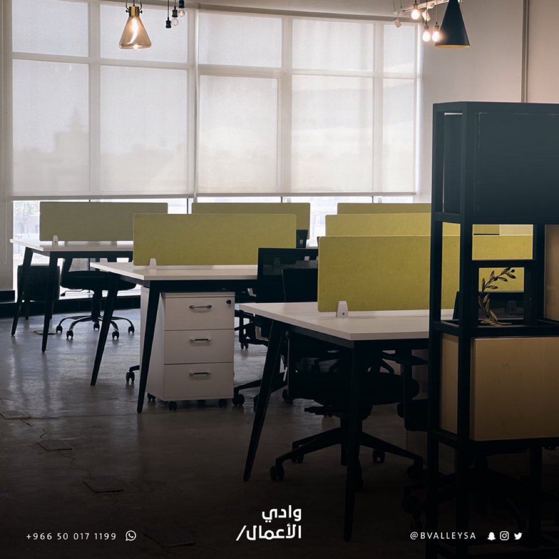 Business Valley وادي الأعمال tweet media