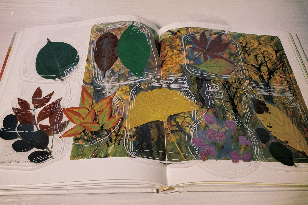 HaianNantong's tweet image. A new trend in Hai'an: Autumn Foraging! Locals are gathering leaves, pinecones, and chestnuts from parks and pathways, cherishing nature’s autumn gifts. Fill your pockets with fall leaves and keep a little of autumn’s romance and poetry with you. #AutumnInHaiAn #ForagingFun